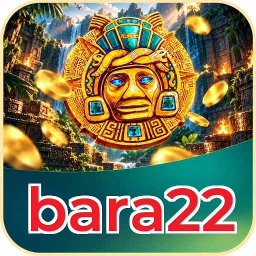App Information bara22