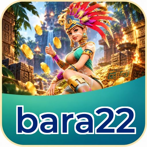 Developer Info bara22